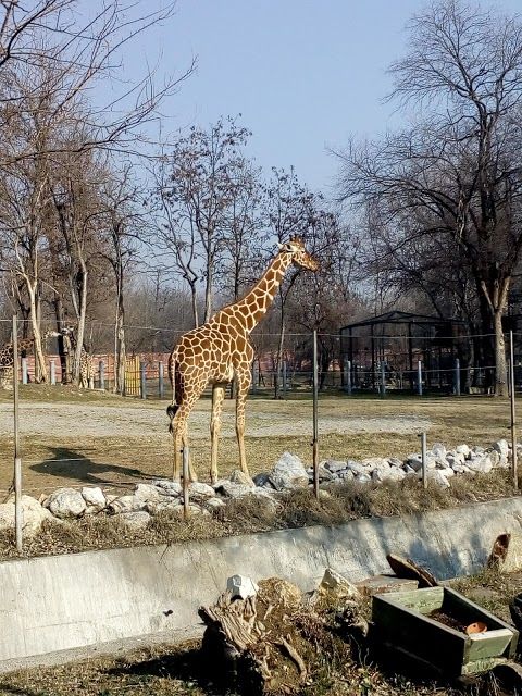 Skopje Zoo